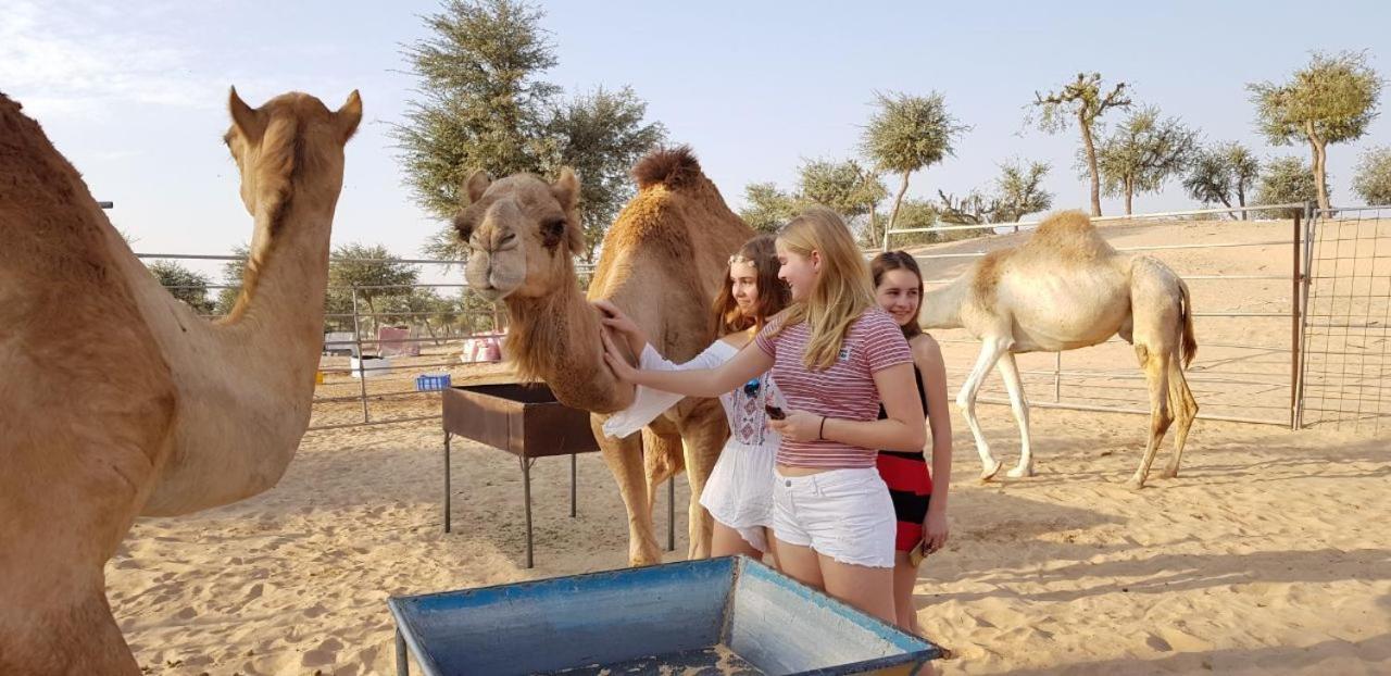 Legend Desert Camp Fulayj al Masha'ikh Exteriér fotografie